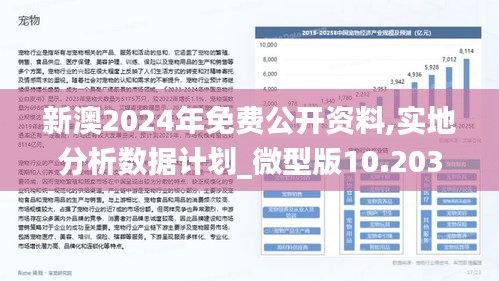 新澳2025最精准正最精准与新澳2025年正版资料与,词语释义、专家解析解释与落实与警惕虚假宣传